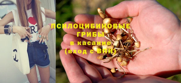 стаф Алексин