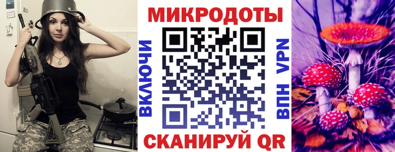 Псилоцибиновые грибы Psilocybe  купить наркоту  Боровичи 